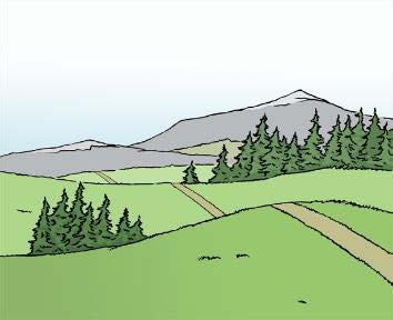 Landschaft mit grünen Hügeln und Weg