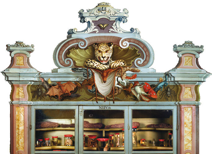 Kurioses Museum Kurioses Museum
