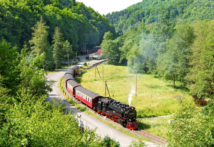 Harzer Schmalspurbahn im Südharz